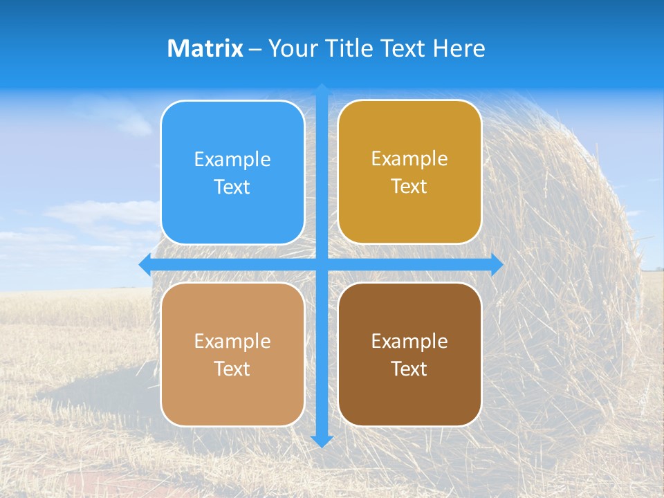 Round Yield Outdoor PowerPoint Template