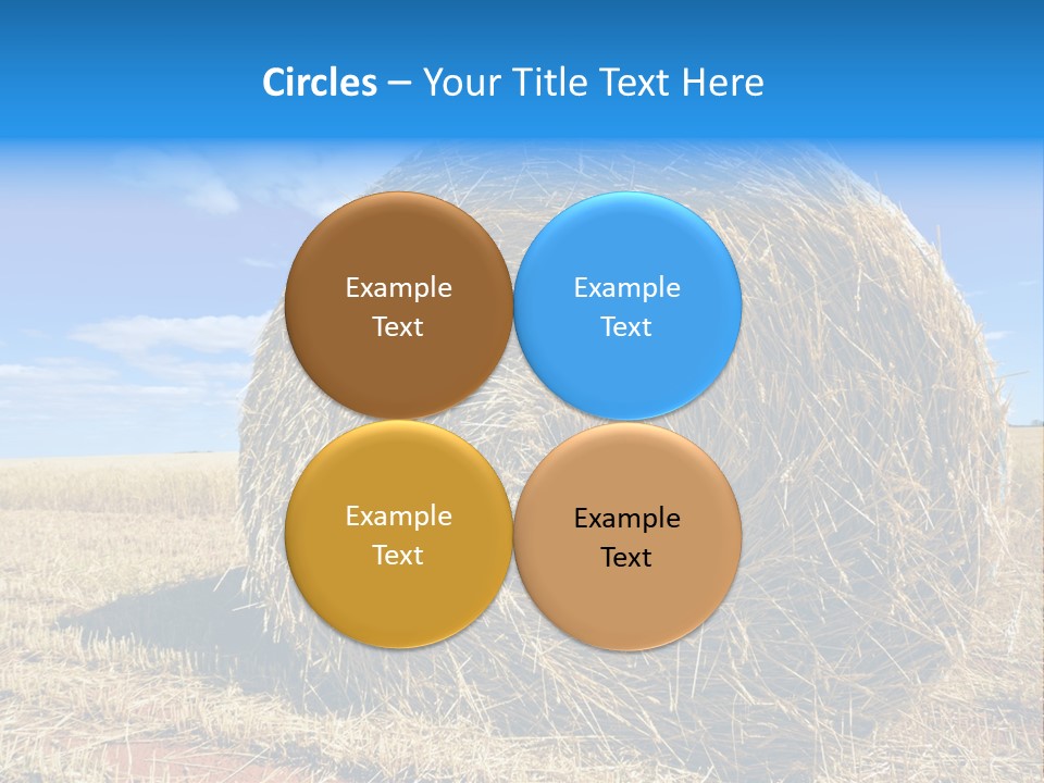 Round Yield Outdoor PowerPoint Template