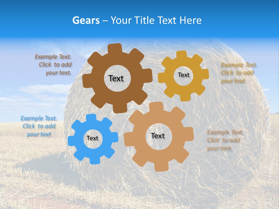 Round Yield Outdoor PowerPoint Template