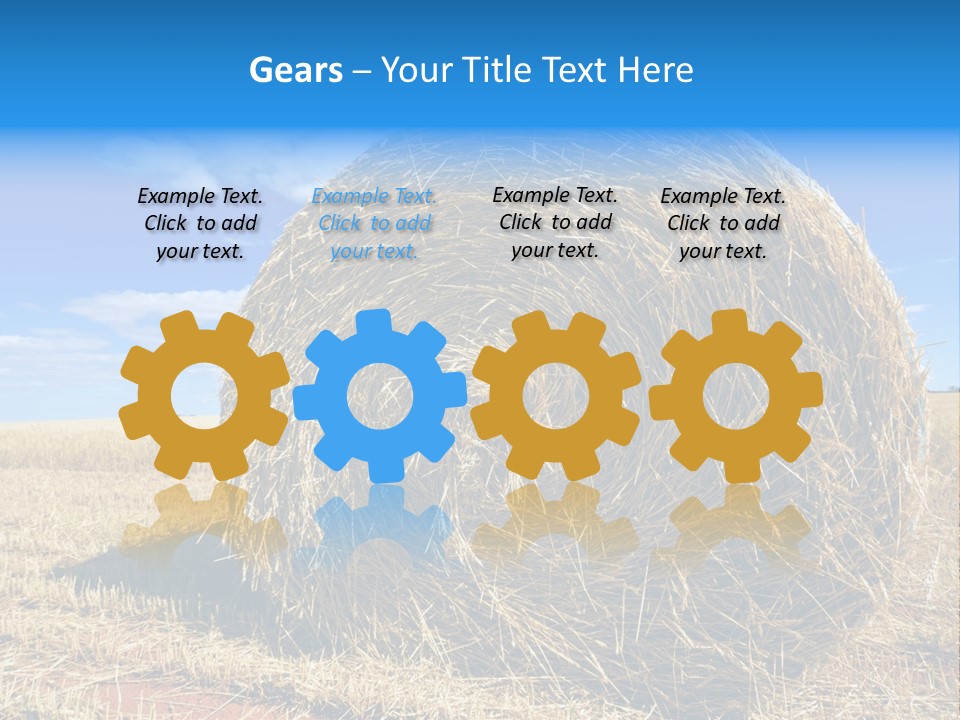 Round Yield Outdoor PowerPoint Template