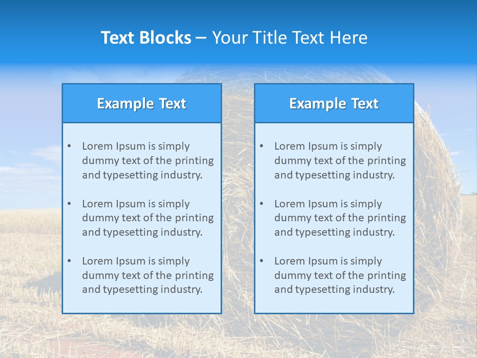 Round Yield Outdoor PowerPoint Template
