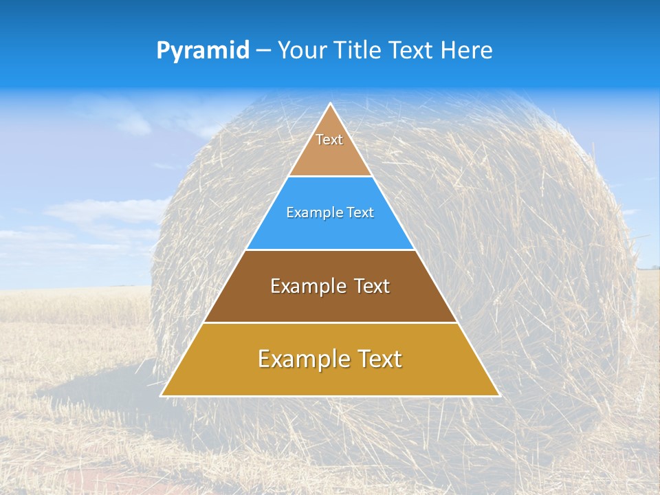 Round Yield Outdoor PowerPoint Template