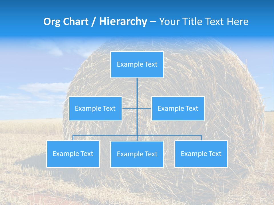 Round Yield Outdoor PowerPoint Template