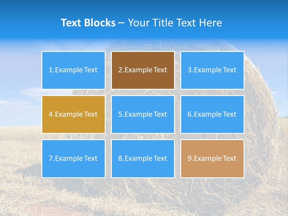 Round Yield Outdoor PowerPoint Template