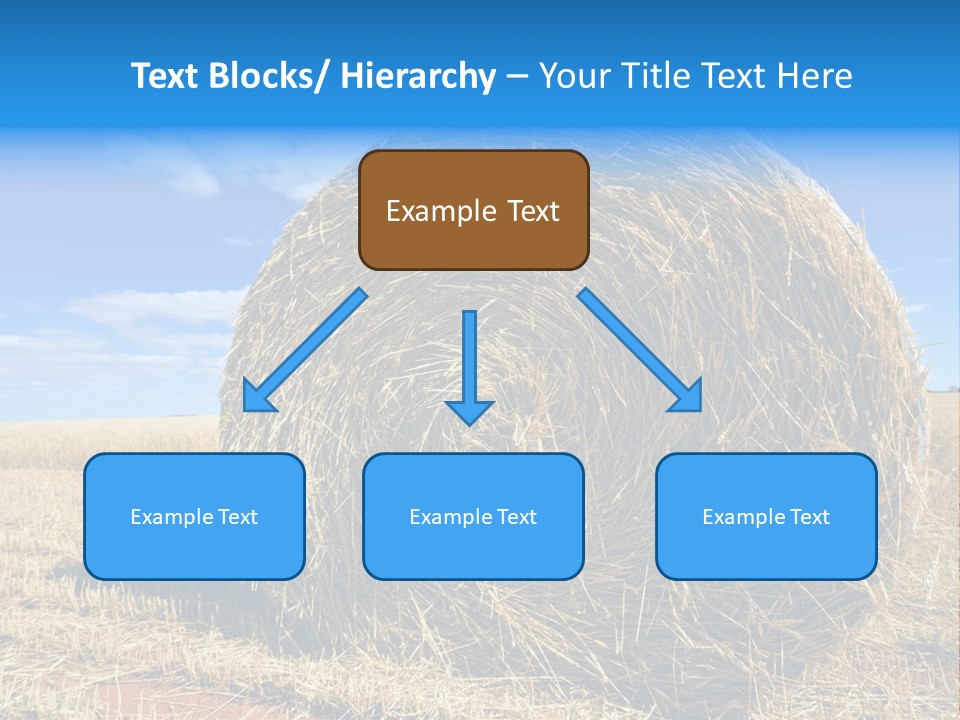 Round Yield Outdoor PowerPoint Template