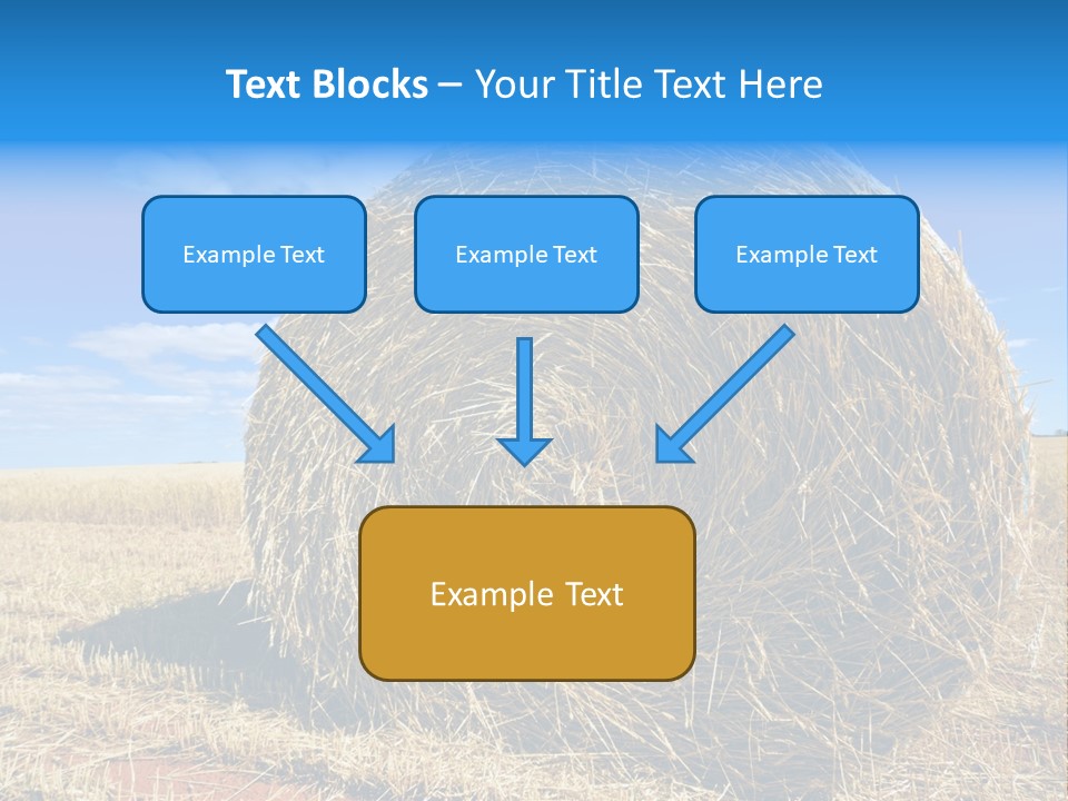 Round Yield Outdoor PowerPoint Template