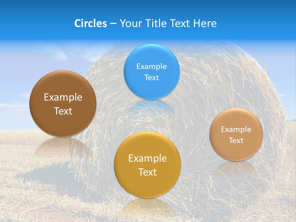 Round Yield Outdoor PowerPoint Template