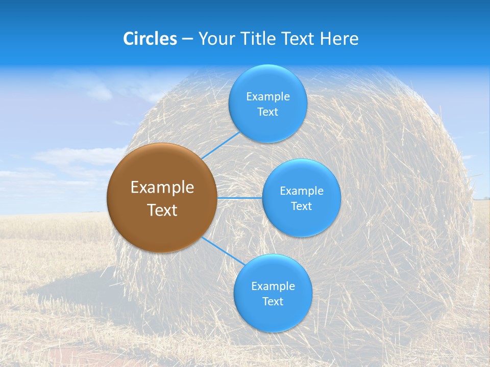 Round Yield Outdoor PowerPoint Template