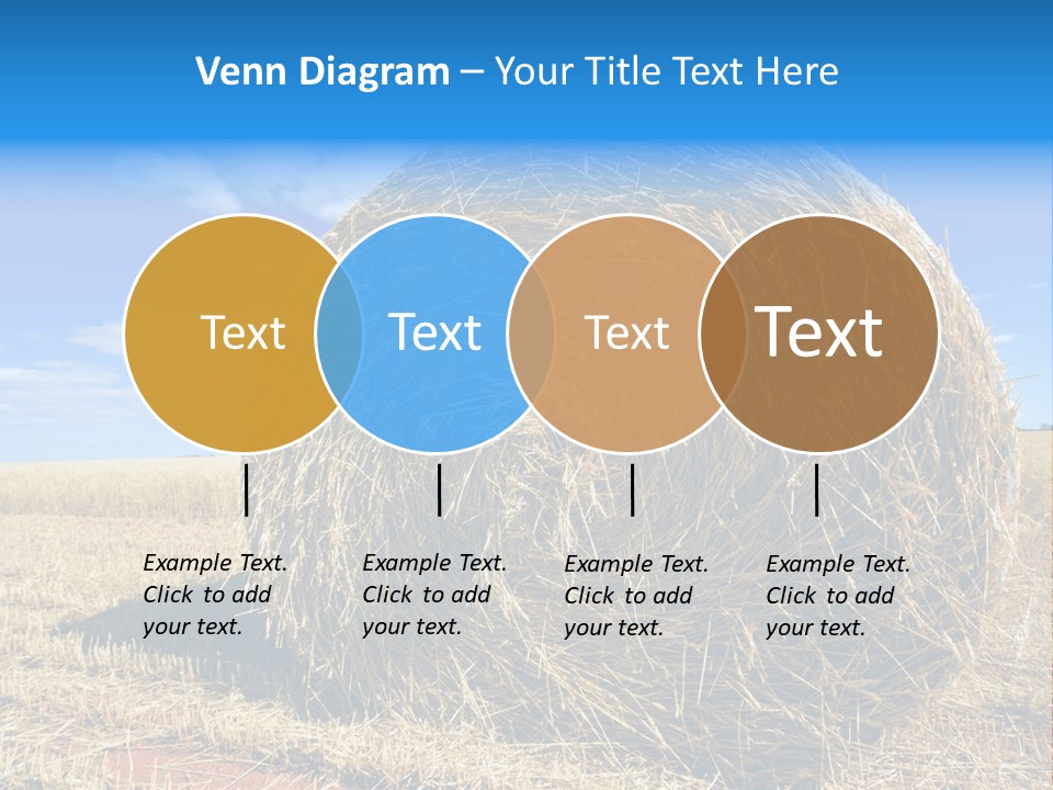Round Yield Outdoor PowerPoint Template