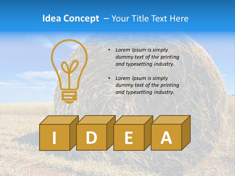 Round Yield Outdoor PowerPoint Template