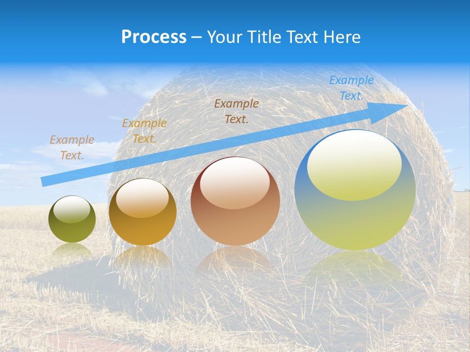 Round Yield Outdoor PowerPoint Template