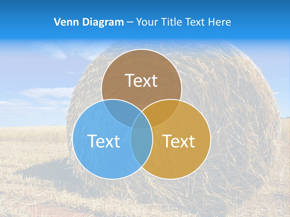 Round Yield Outdoor PowerPoint Template
