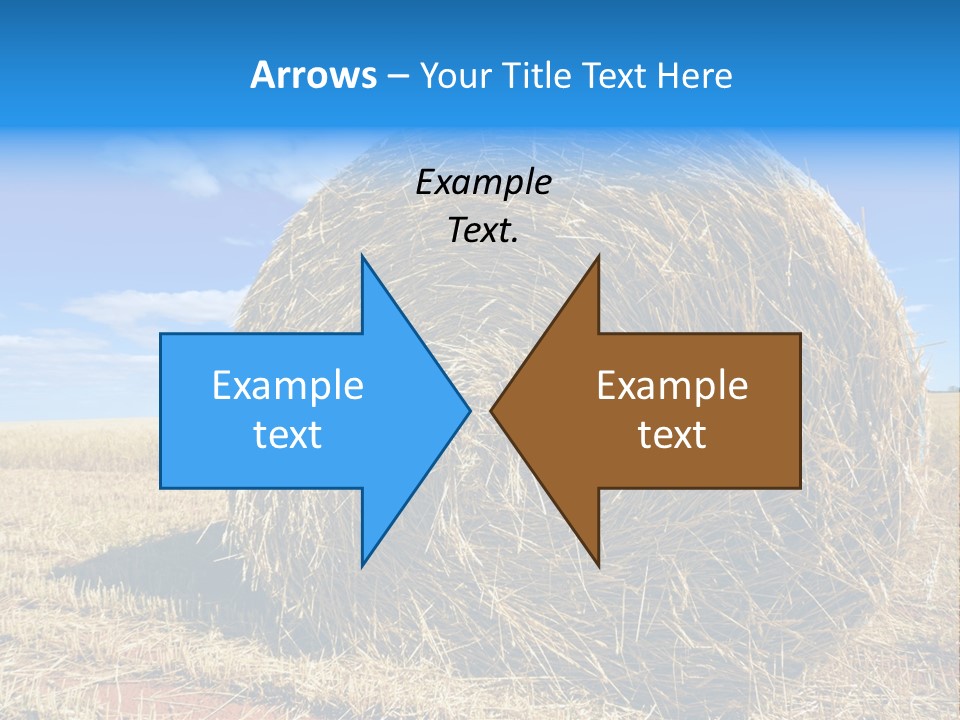 Round Yield Outdoor PowerPoint Template