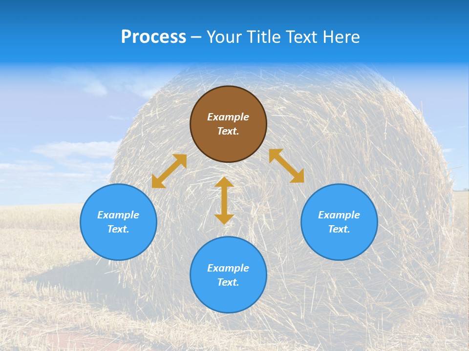 Round Yield Outdoor PowerPoint Template