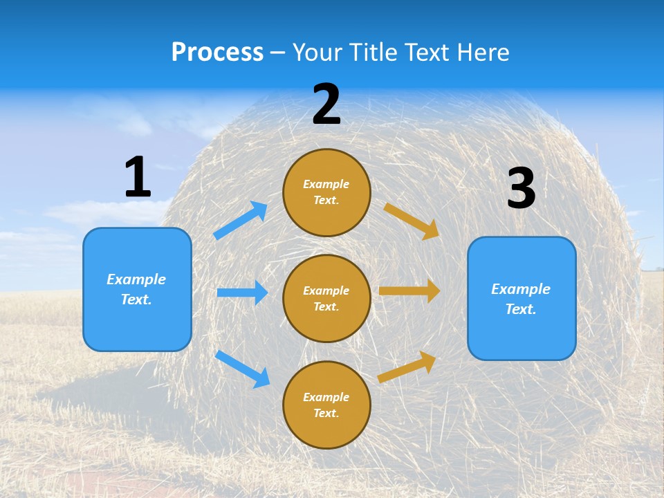 Round Yield Outdoor PowerPoint Template