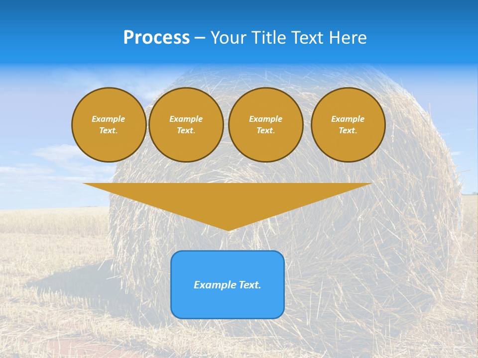 Round Yield Outdoor PowerPoint Template