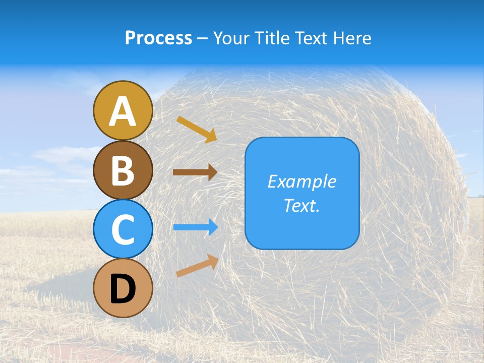 Round Yield Outdoor PowerPoint Template