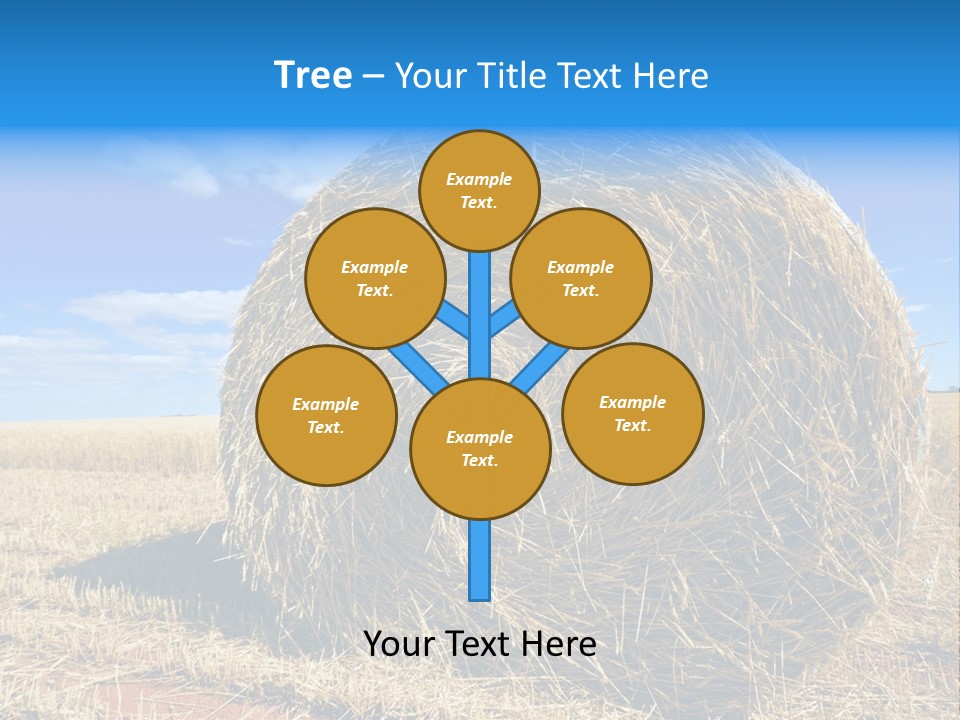 Round Yield Outdoor PowerPoint Template