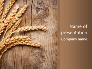 Rural Nature Copyspace PowerPoint Template
