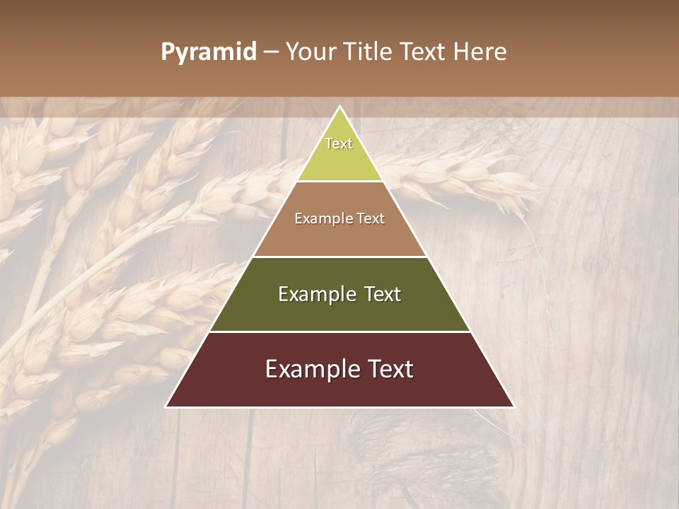 Rural Nature Copyspace PowerPoint Template