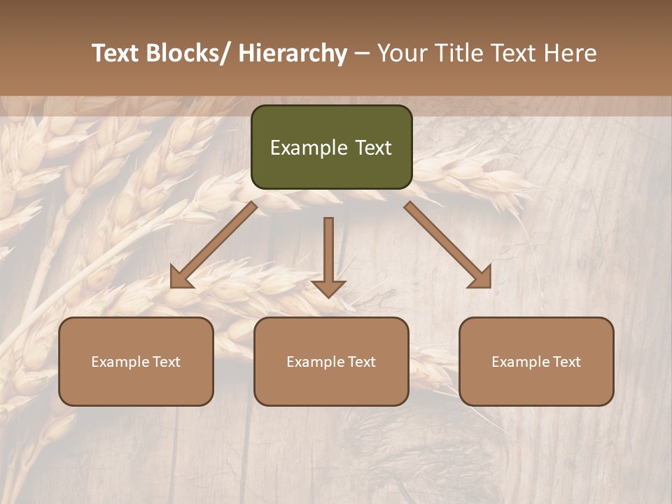 Rural Nature Copyspace PowerPoint Template