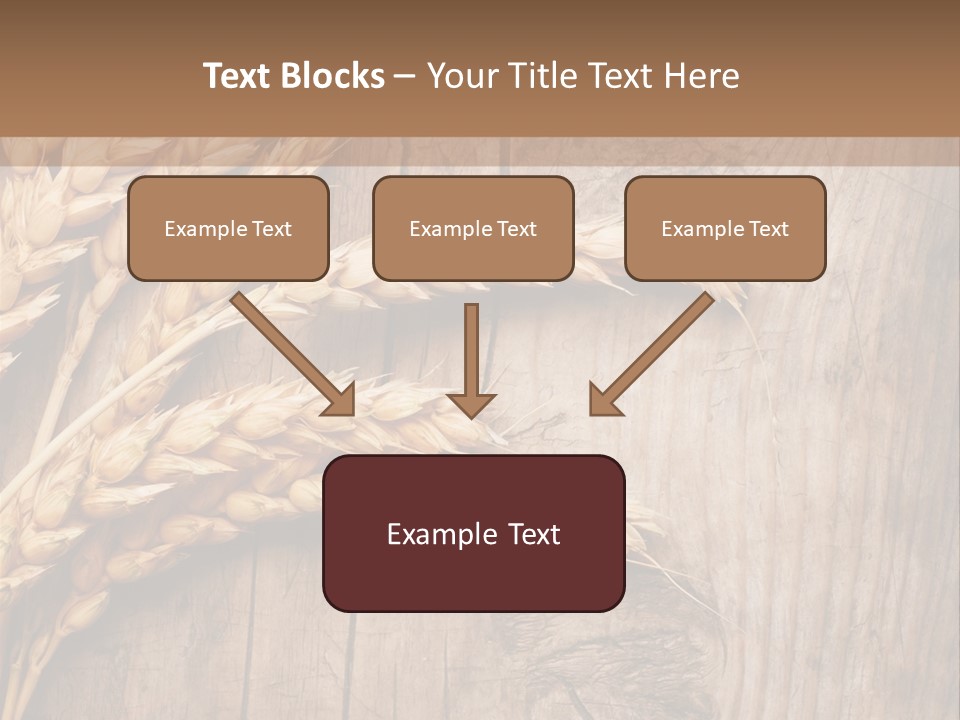 Rural Nature Copyspace PowerPoint Template