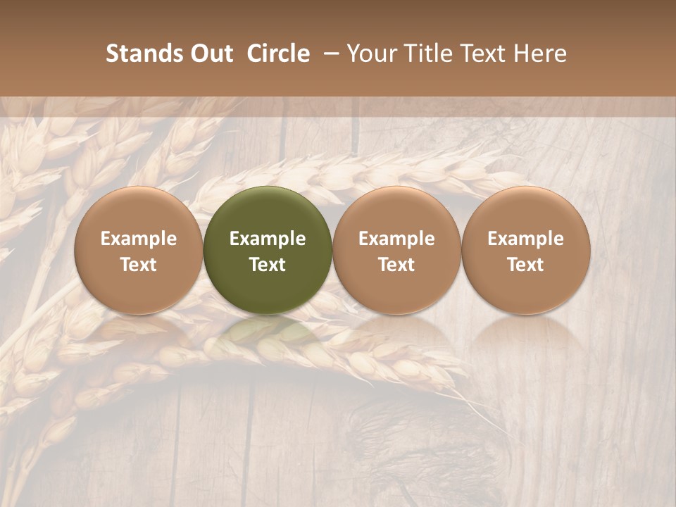 Rural Nature Copyspace PowerPoint Template