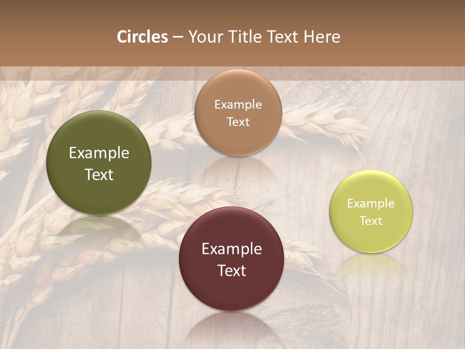 Rural Nature Copyspace PowerPoint Template