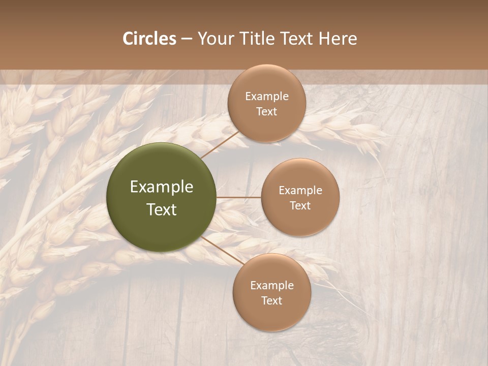 Rural Nature Copyspace PowerPoint Template