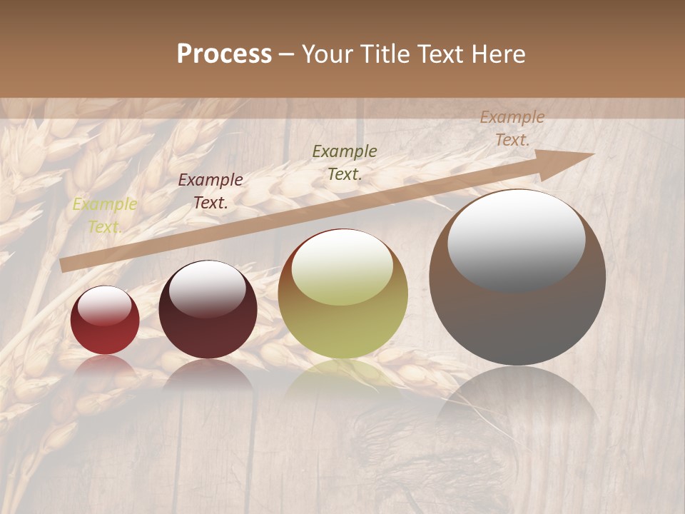 Rural Nature Copyspace PowerPoint Template