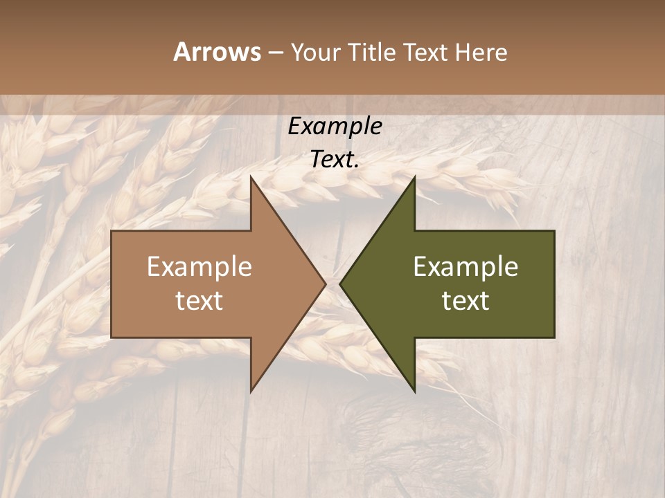 Rural Nature Copyspace PowerPoint Template