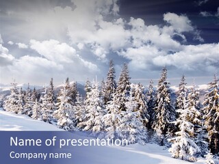 Beautiful Environment Star PowerPoint Template