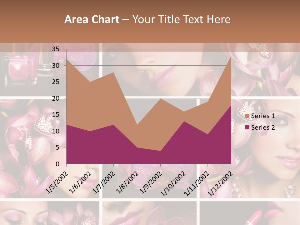 Professional Make Up Closed PowerPoint Template