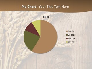 Spikes Text Meal PowerPoint Template