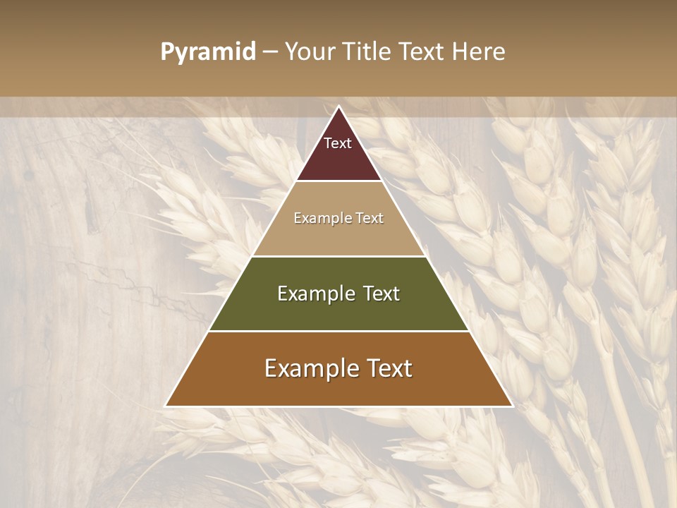 Close Lot Text PowerPoint Template