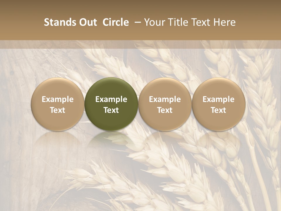 Close Lot Text PowerPoint Template