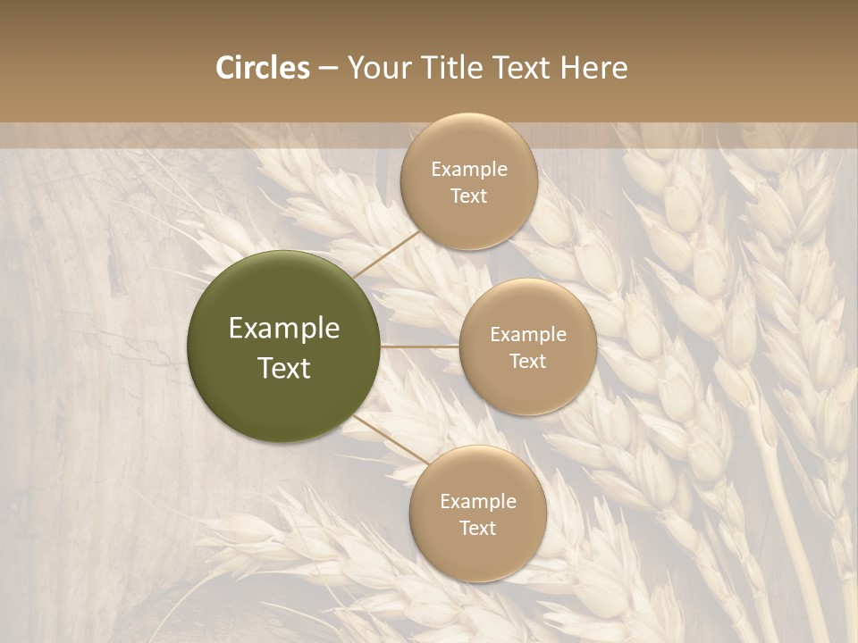 Close Lot Text PowerPoint Template