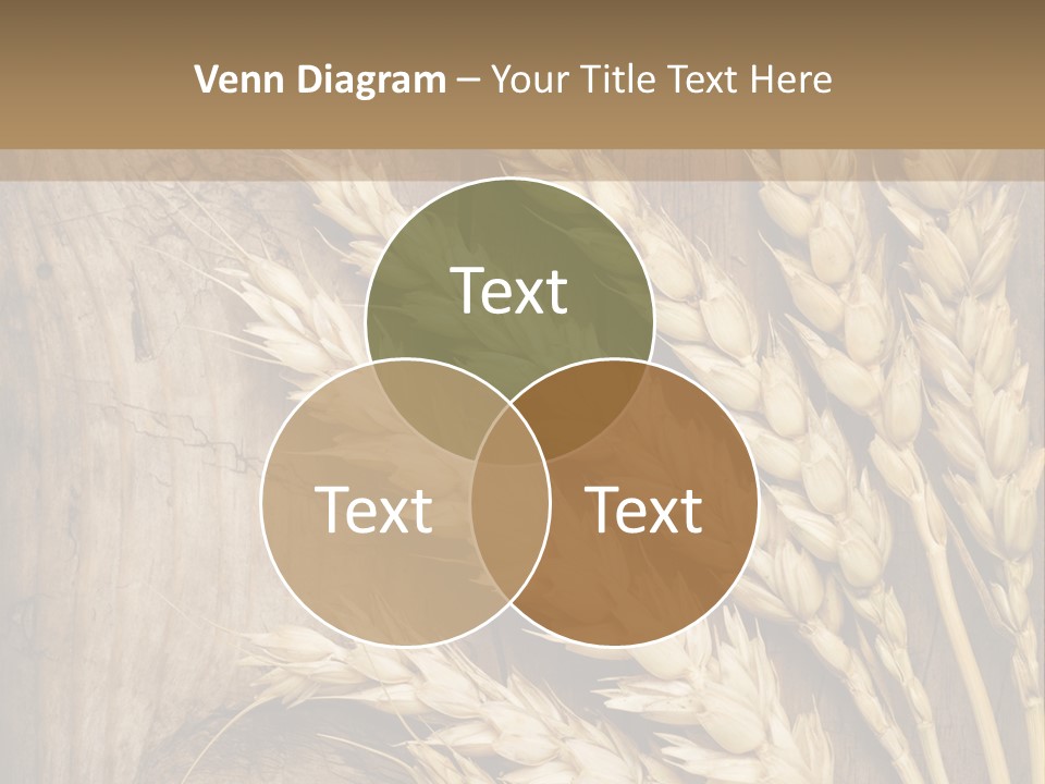 Close Lot Text PowerPoint Template