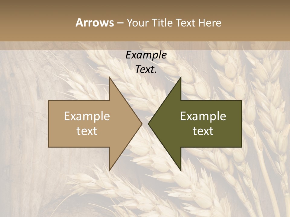 Close Lot Text PowerPoint Template