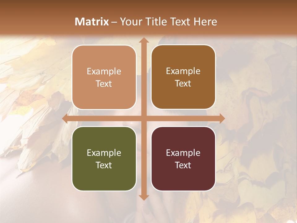 Hair Orange White PowerPoint Template