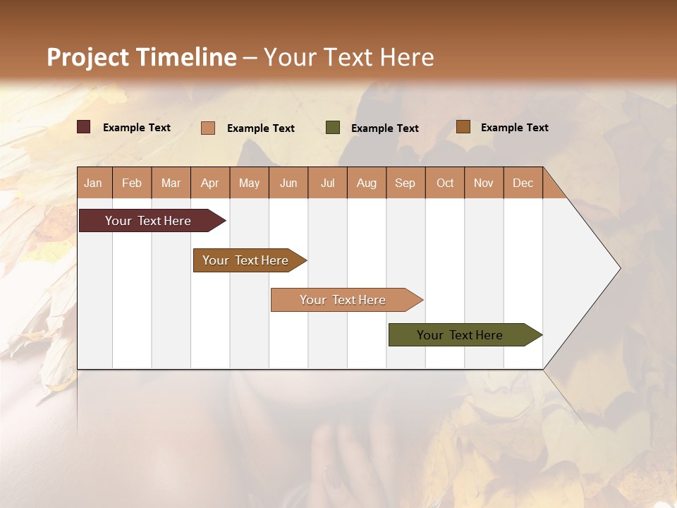 Hair Orange White PowerPoint Template