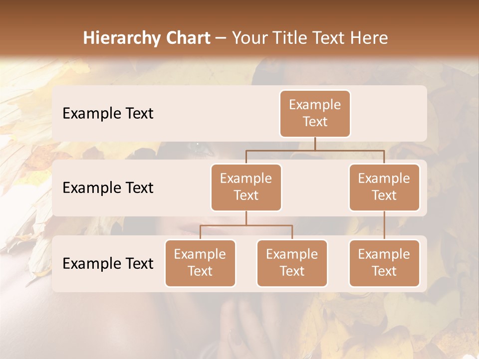 Hair Orange White PowerPoint Template