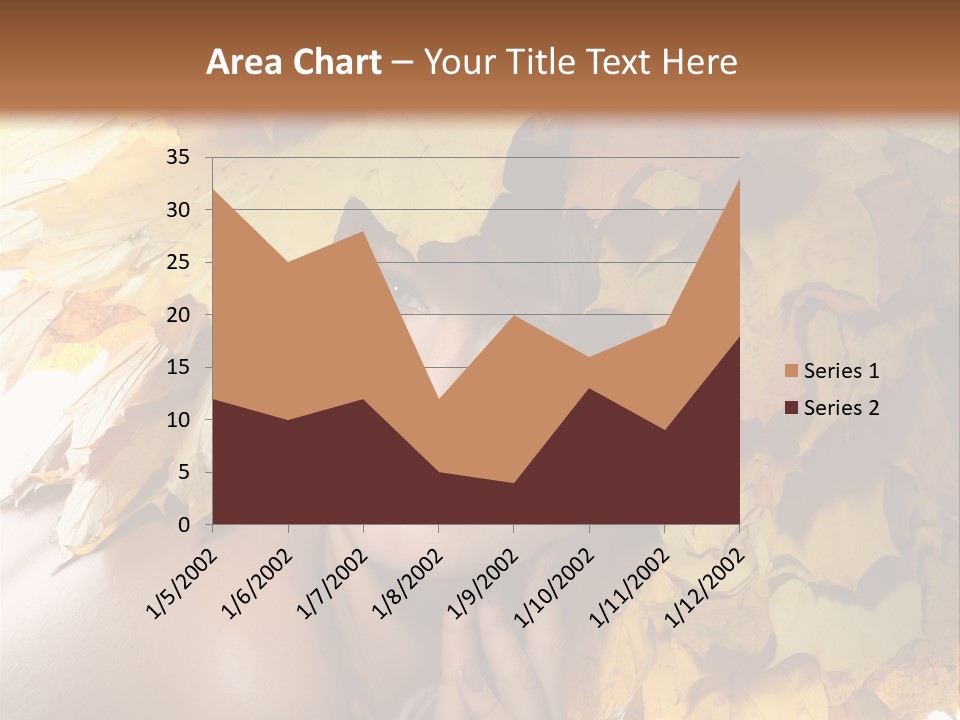 Hair Orange White PowerPoint Template