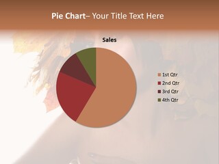 Orange Person Nature PowerPoint Template