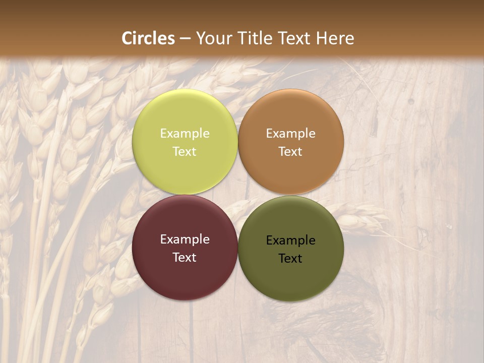 Agricultural Vertical Background PowerPoint Template