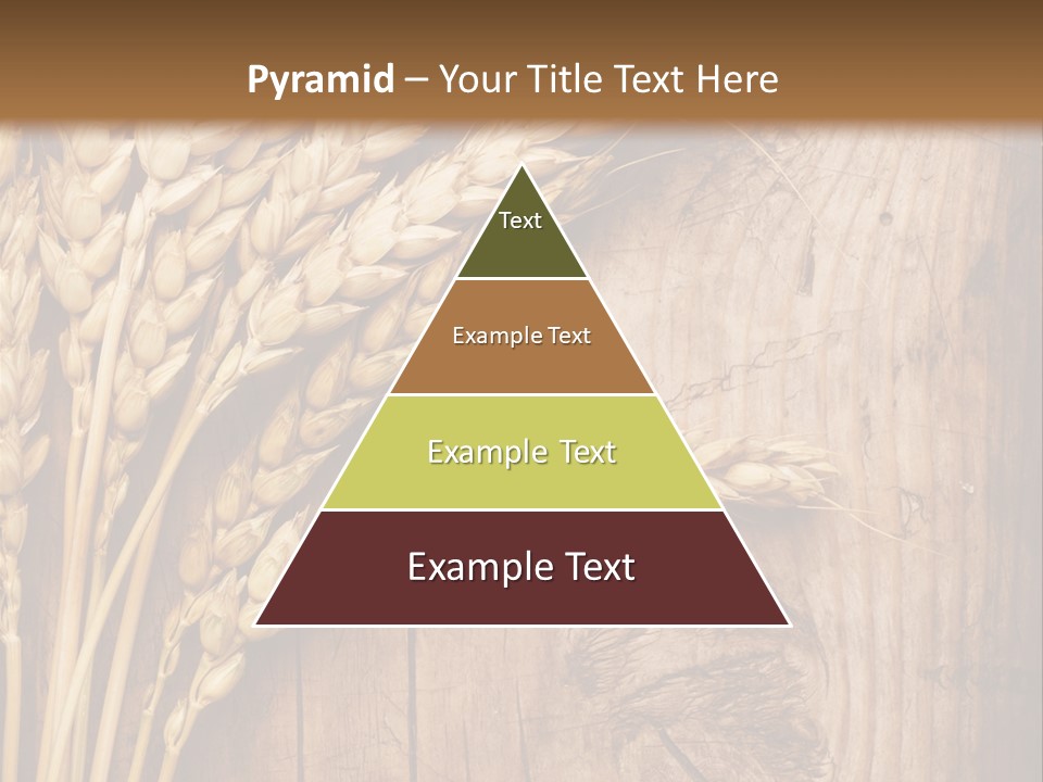 Agricultural Vertical Background PowerPoint Template