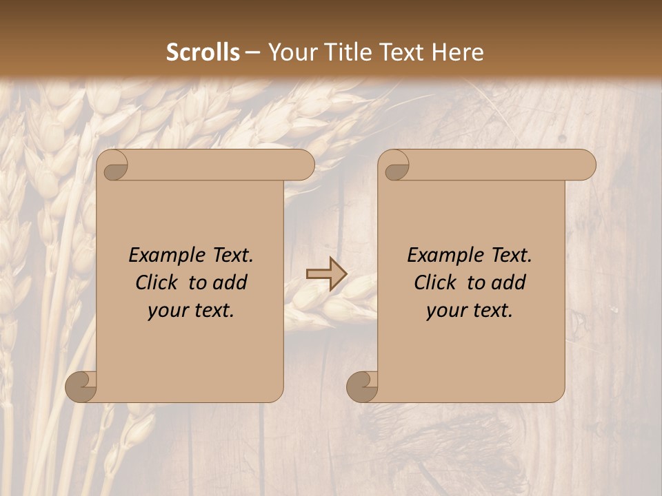 Agricultural Vertical Background PowerPoint Template