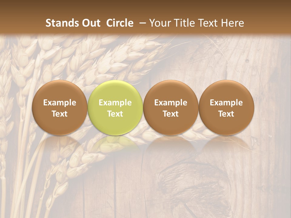 Agricultural Vertical Background PowerPoint Template