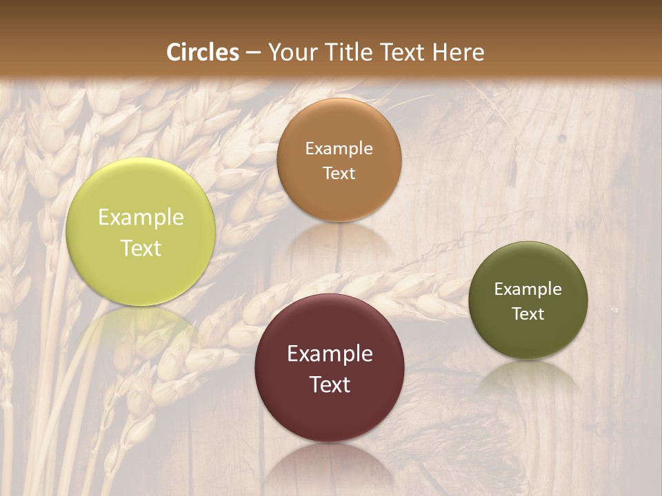 Agricultural Vertical Background PowerPoint Template