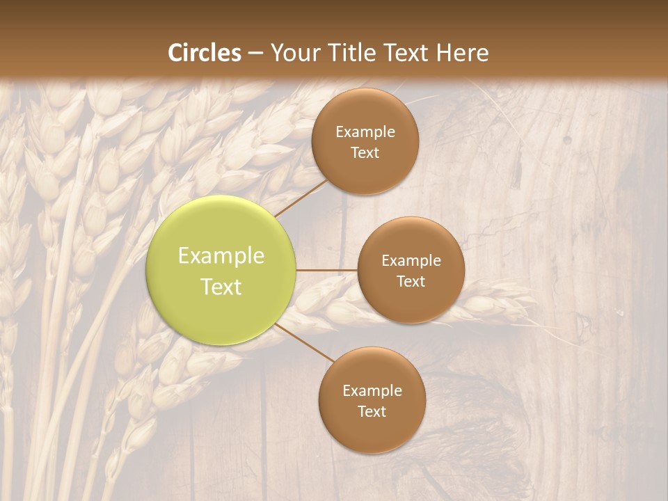 Agricultural Vertical Background PowerPoint Template